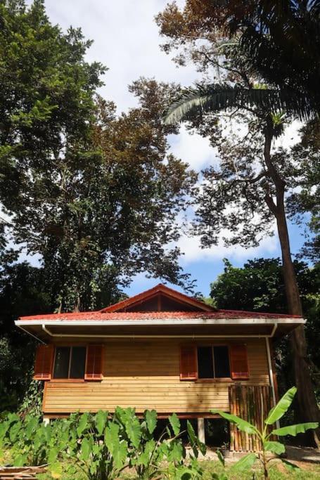 Jungle Beach 2 Bedroom Cottage Bocas del Toro Buitenkant foto