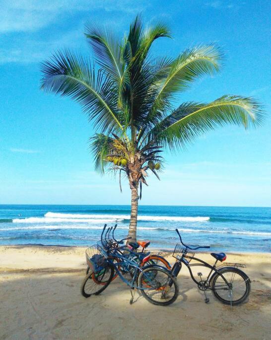 Jungle Beach 2 Bedroom Cottage Bocas del Toro Buitenkant foto