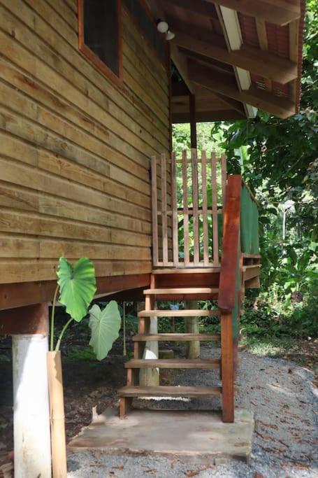 Jungle Beach 2 Bedroom Cottage Bocas del Toro Buitenkant foto