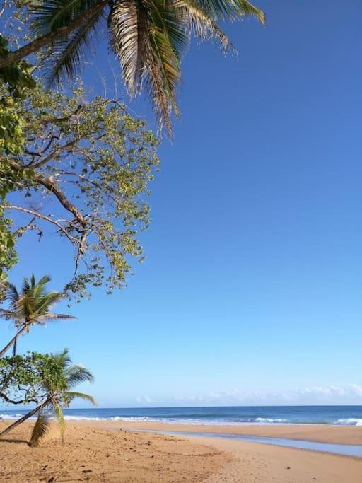 Jungle Beach 2 Bedroom Cottage Bocas del Toro Buitenkant foto