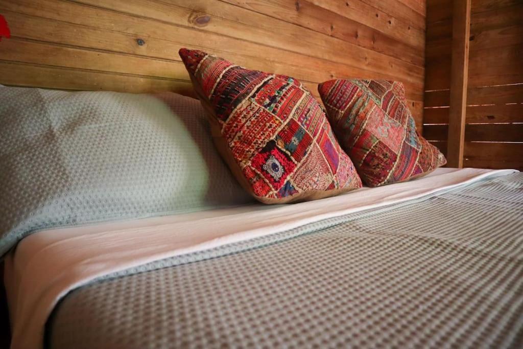 Jungle Beach 2 Bedroom Cottage Bocas del Toro Buitenkant foto